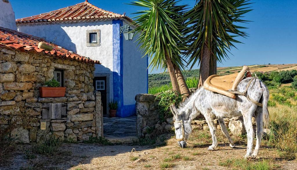 Готель Aldeia Da Mata Pequena Мафра Номер фото